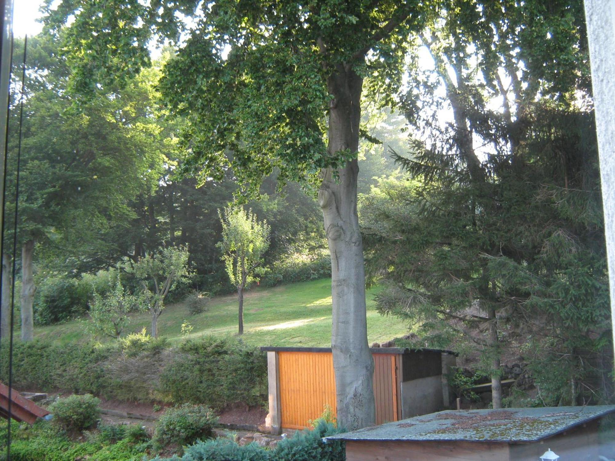 Ferienwohnung Sauerland Panorama Корбах Экстерьер фото